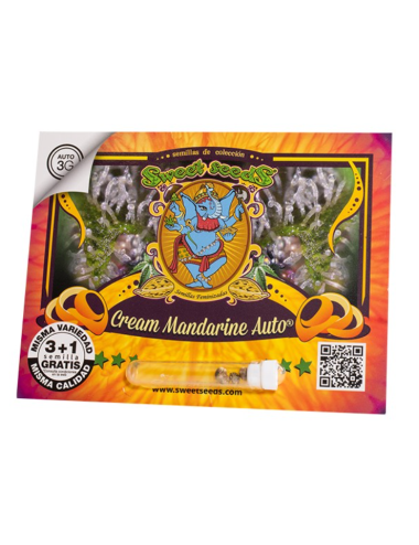 Cream mandarine auto