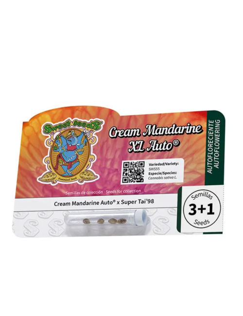 Cream mandarine xl auto