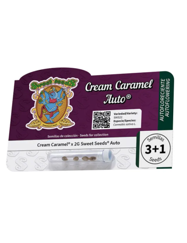 Cream caramel auto