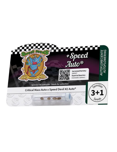 + speed auto