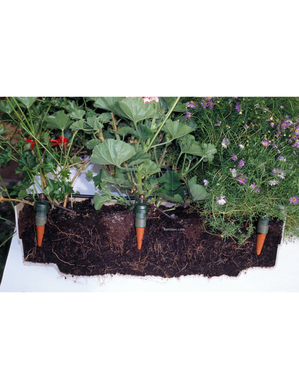 Tropf blumat