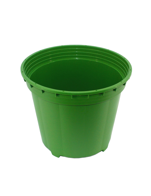 Potpro cubo