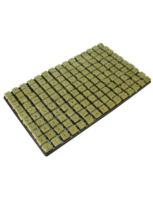Bandeja plugs grodan (caja con 18 bandejas)