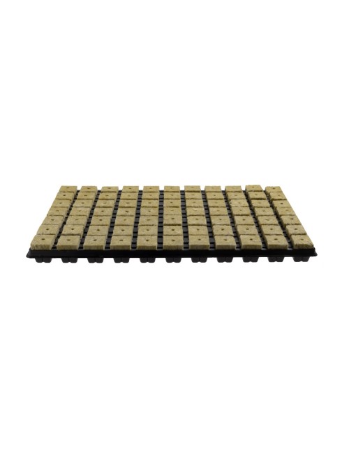 Bandeja plugs grodan (caja con 18 bandejas)