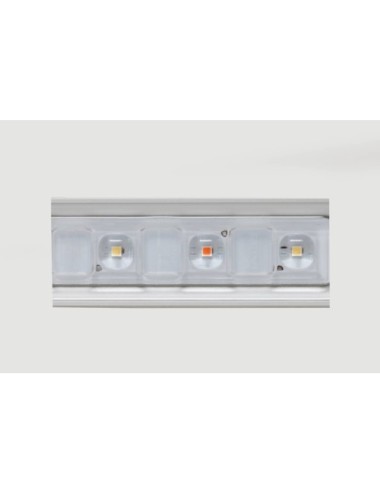 Led flex 10