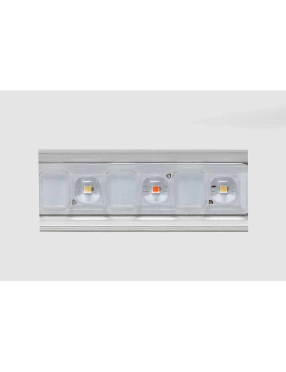 Led flex 10