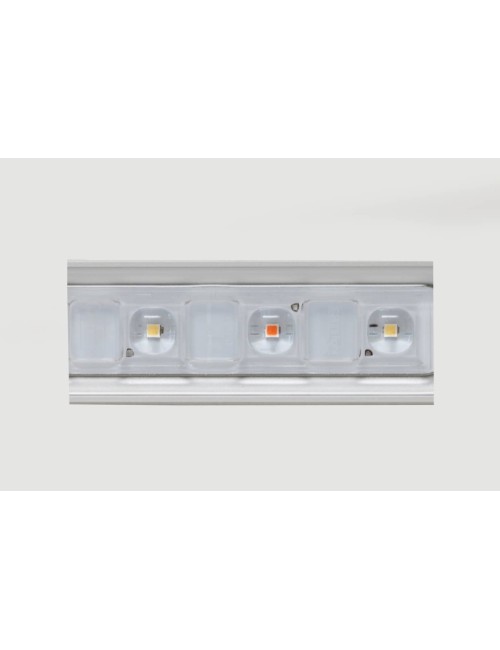 Led flex 10