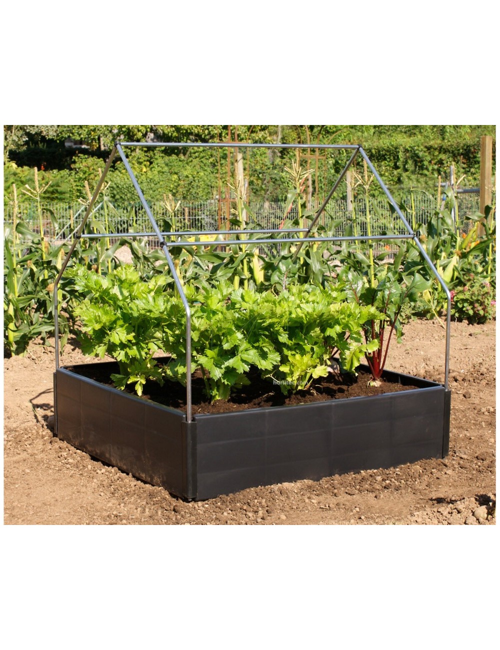 Estructura metálica para grow bed