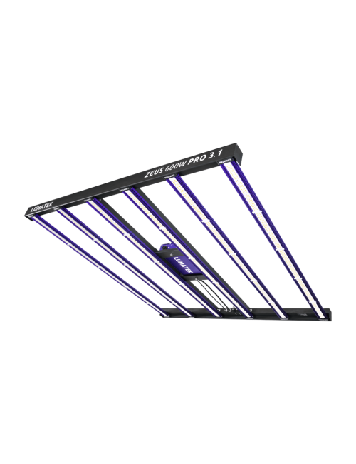 Sistema led zeus 600 w pro 3.1