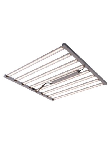 Sistema led spider king 1000 w