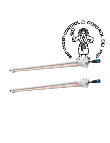 Inter canopy led