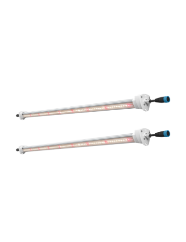 Inter canopy led