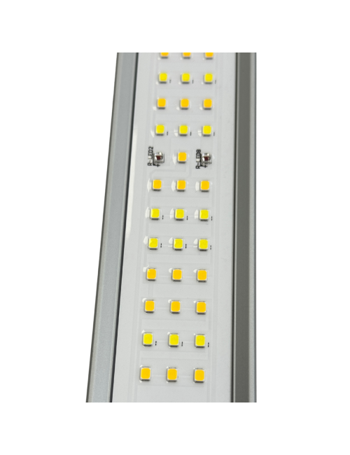 Sistema led vega pro 720w solux