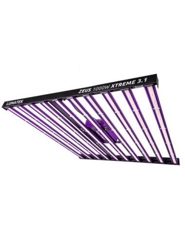 Sistema led zeus 1000w extreme 3.1 lumatek
