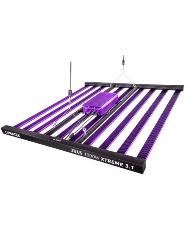 Sistema led zeus 1000w extreme 3.1 lumatek