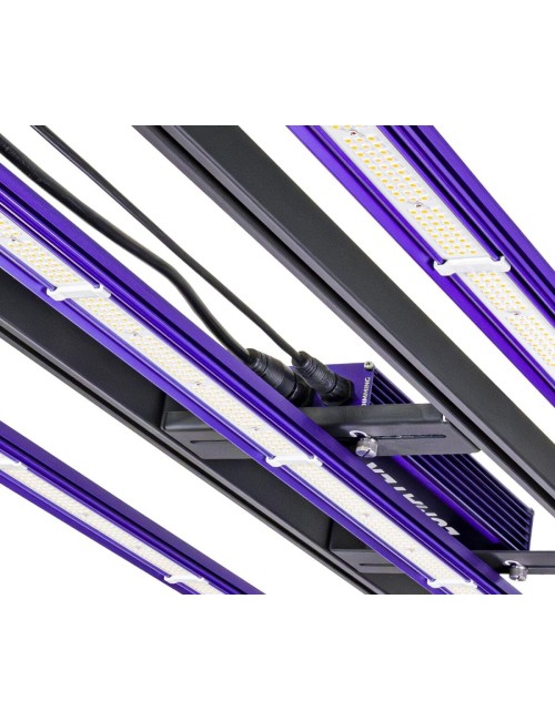 Sistema led zeus 300 w pro 3.1 lumatek