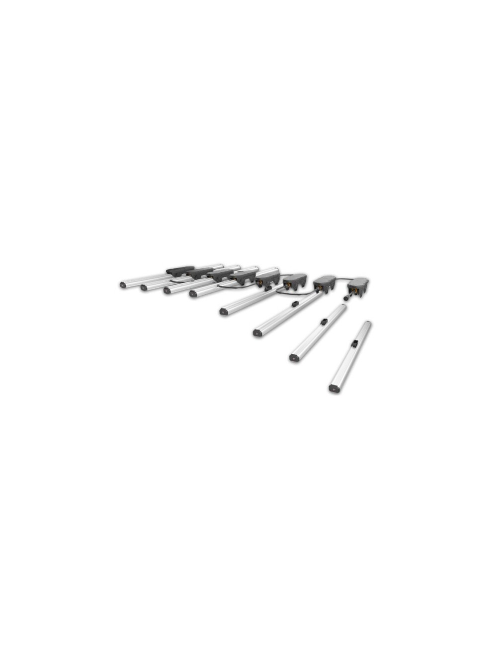 Controlador de 2 canales para model one (tld-2) trolmaster