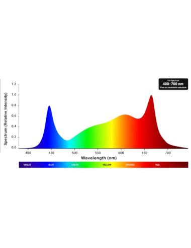 Sistema led aura pro 3.2 720w solux