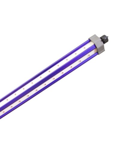 Barra led 50w far-red lumatek