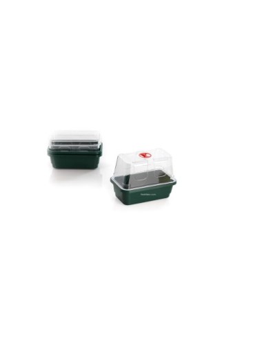 Mini propagador de cúpula alta (3 uds)