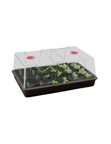 Propagador grande (58 x 40 x 22,5 cm) garland