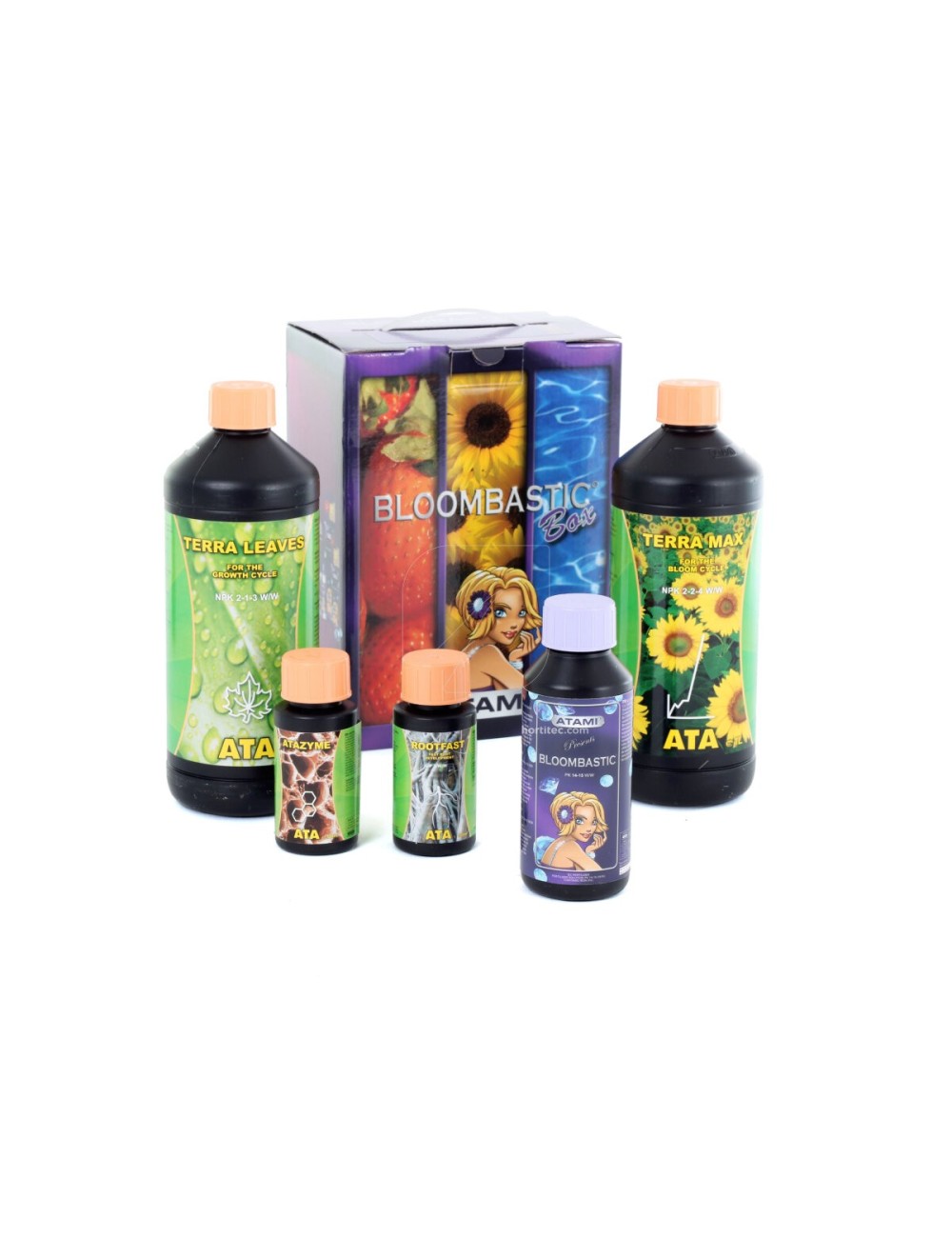 Ata/terra bloombastic box
