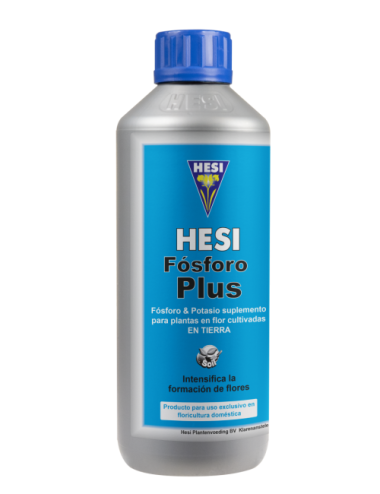 Fósforo plus