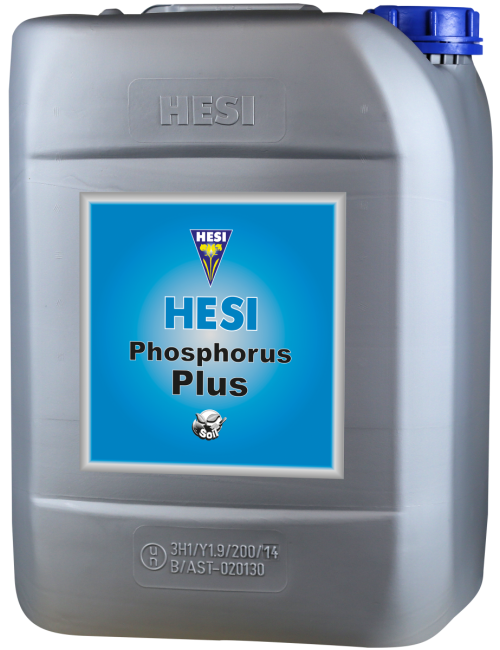 Fósforo plus