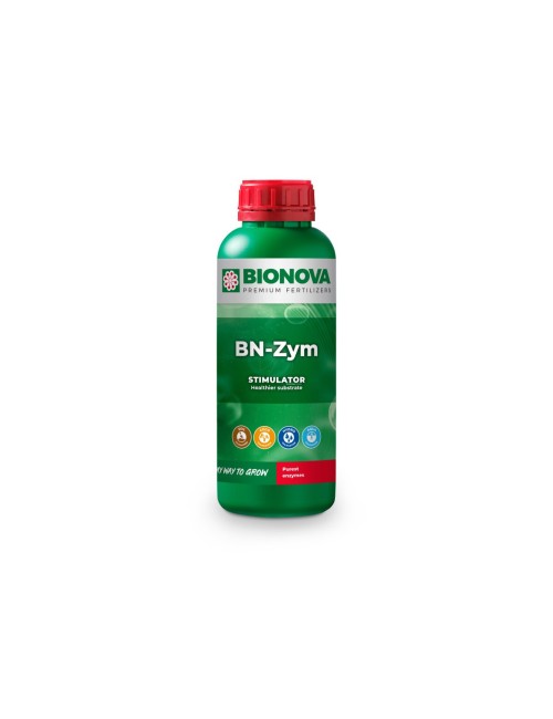 Bn-zym