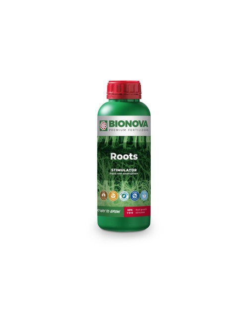 Bn roots