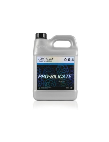 Pro-silicate(TM)