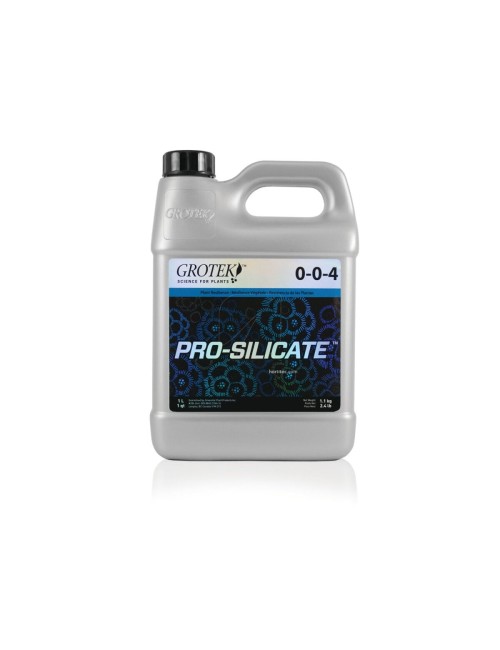 Pro-silicate(TM)
