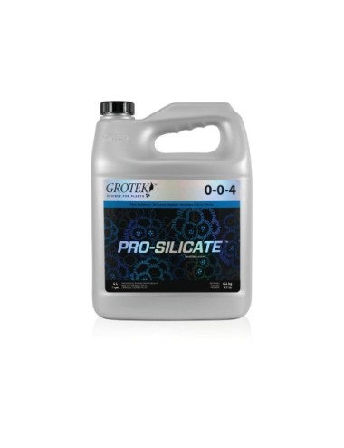 Pro-silicate(TM)