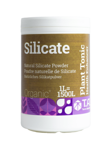 Silicate (mineral magic)