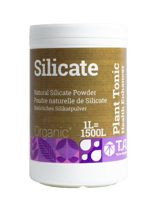 Silicate (mineral magic)