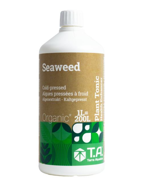 Seaweed