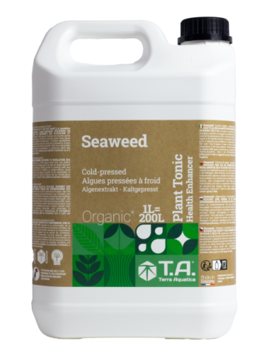 Seaweed