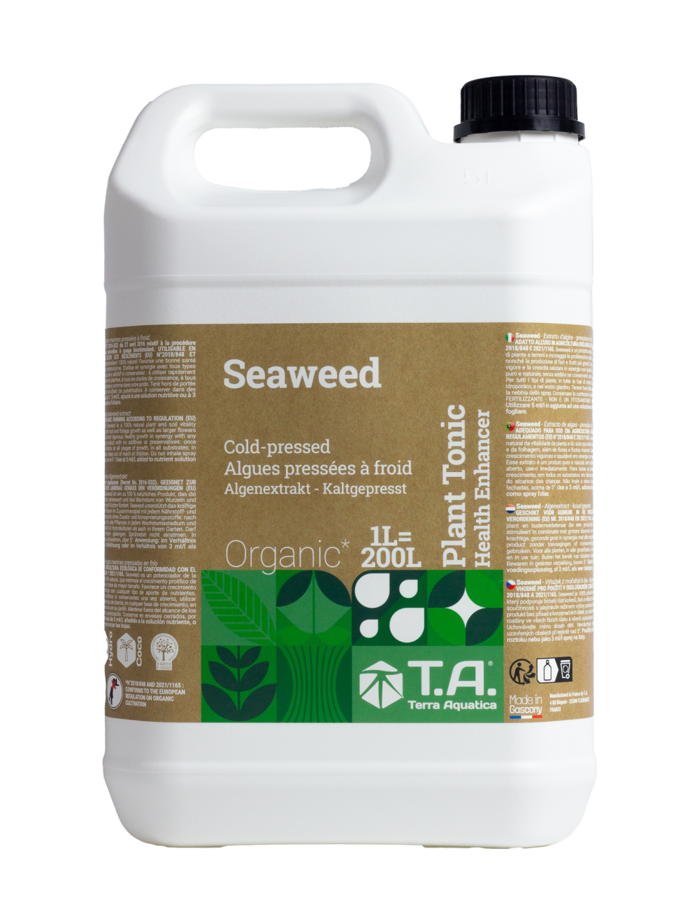 Seaweed