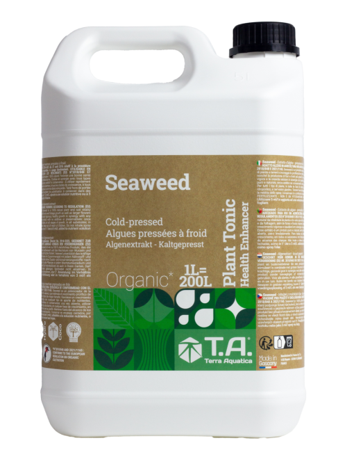 Seaweed