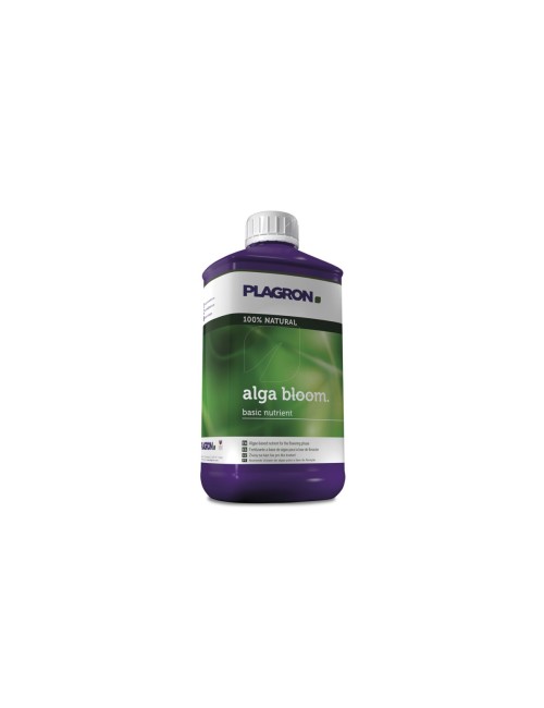 Alga bloom plagron