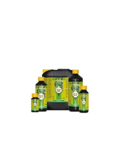 Ata nrg growth c
