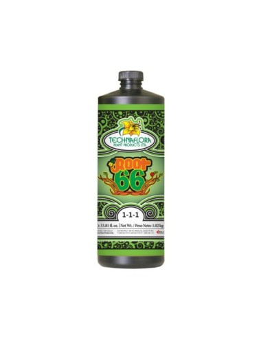 Root 66