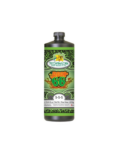 Root 66