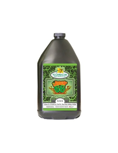 Root 66