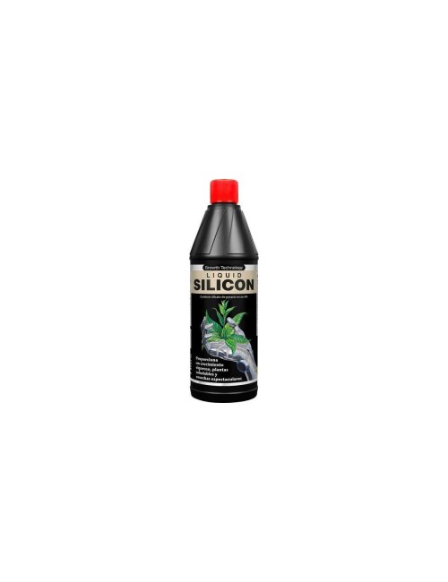 Liquid silicon
