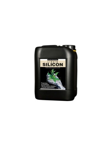 Liquid silicon
