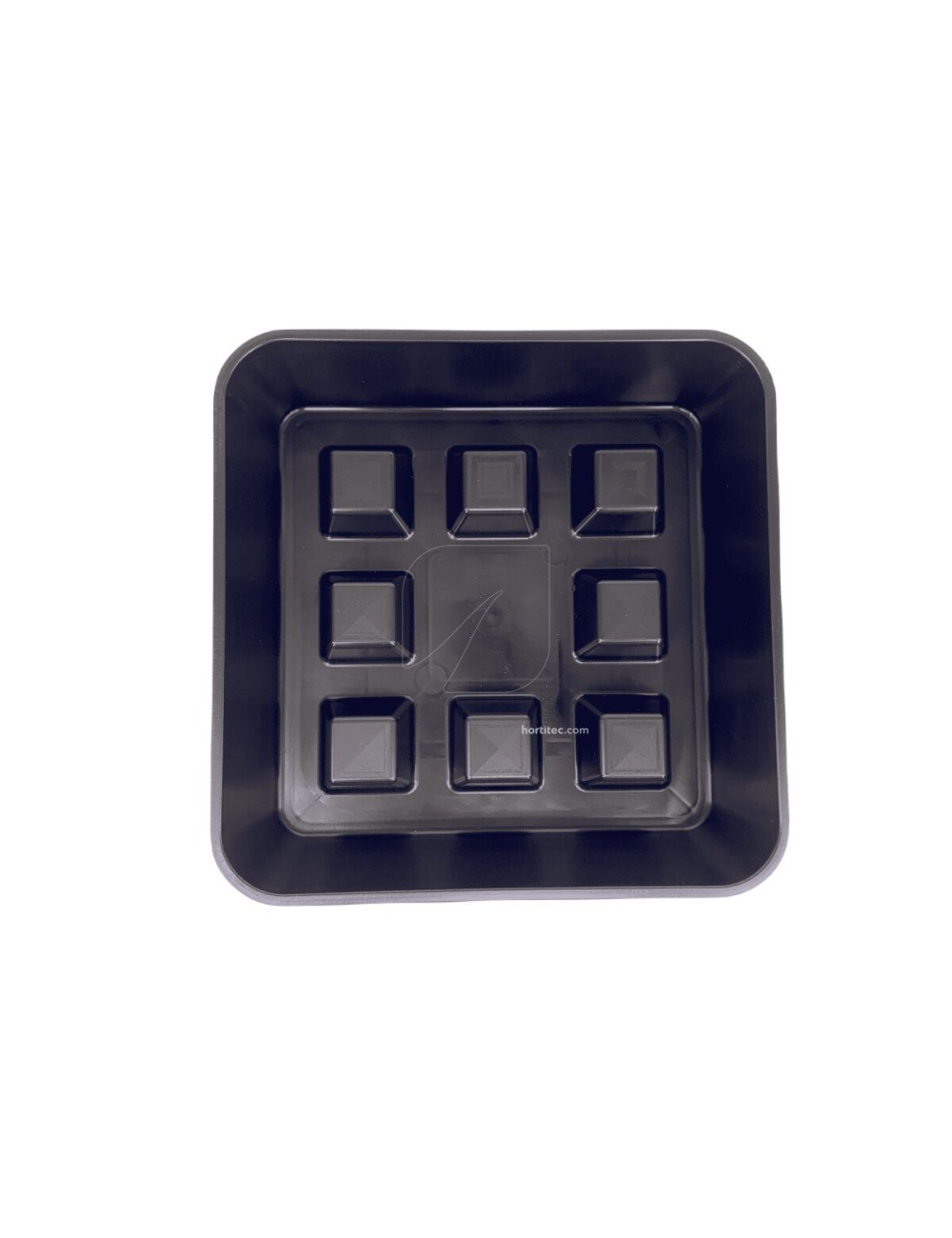 Plato cuadrado elevado 50 uds