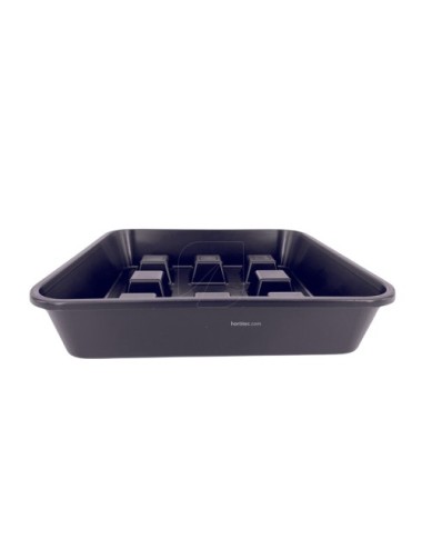Plato cuadrado elevado 50 uds