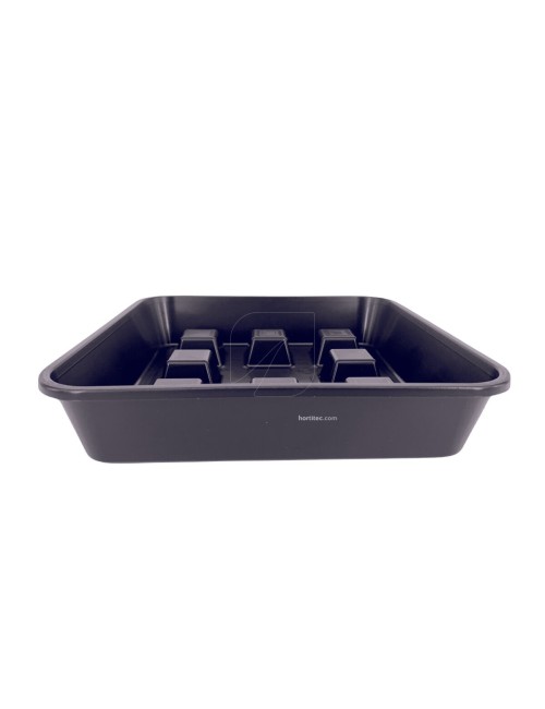 Plato cuadrado elevado 50 uds