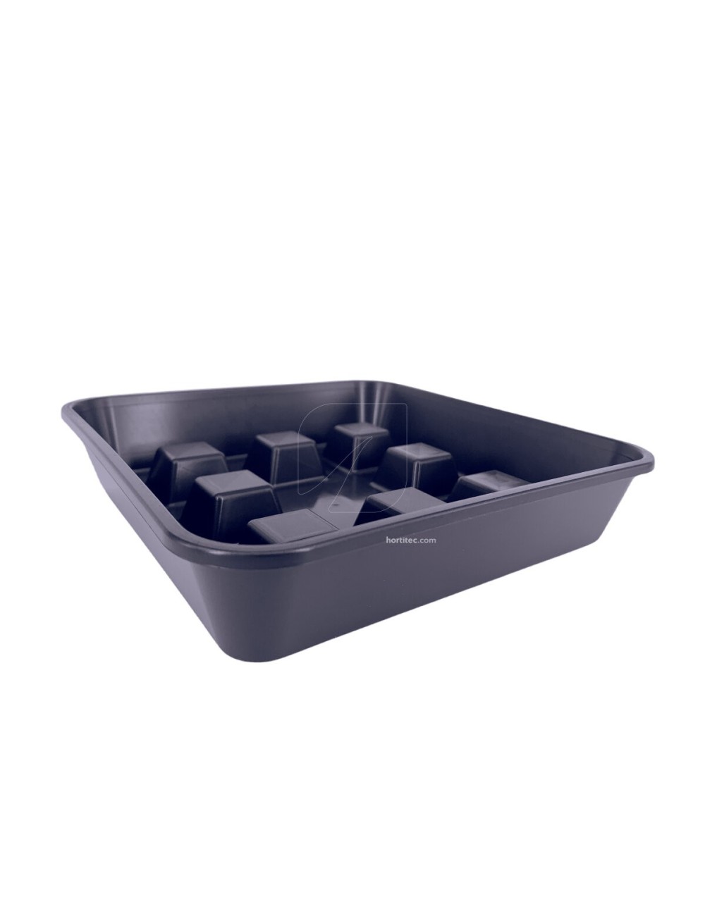 Plato cuadrado elevado 50 uds